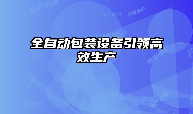 全自動包裝設備引領高效生產(chǎn)