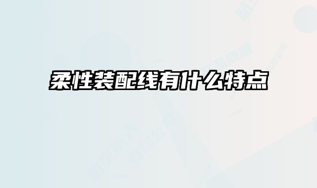 柔性裝配線有什么特點(diǎn)